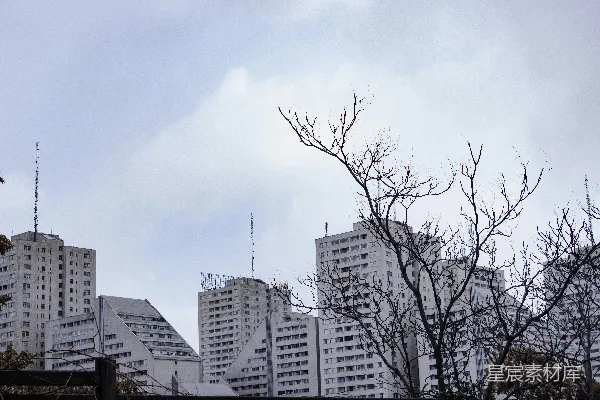 高清摄影 城市天际线与枯枝
