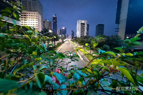 高清摄影 城市夜景中的绿意