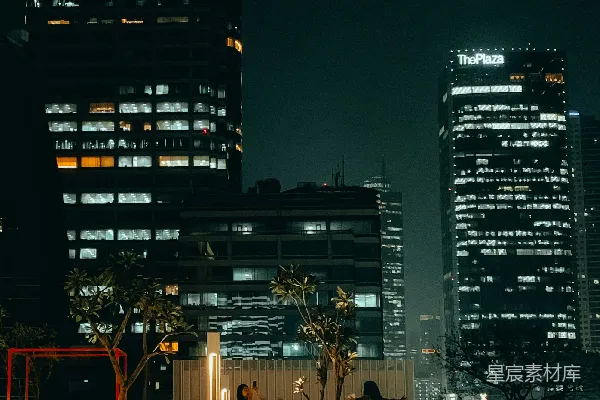 高清摄影 夜幕下的城市花园