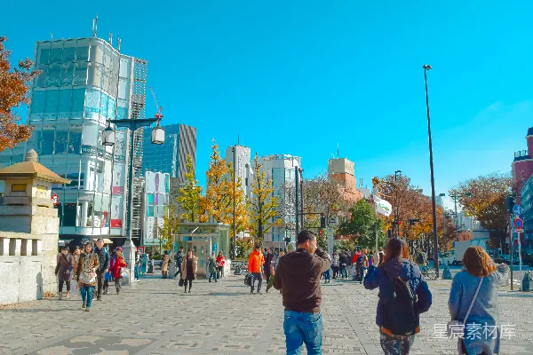 高清摄影 秋日阳光下的城市广场