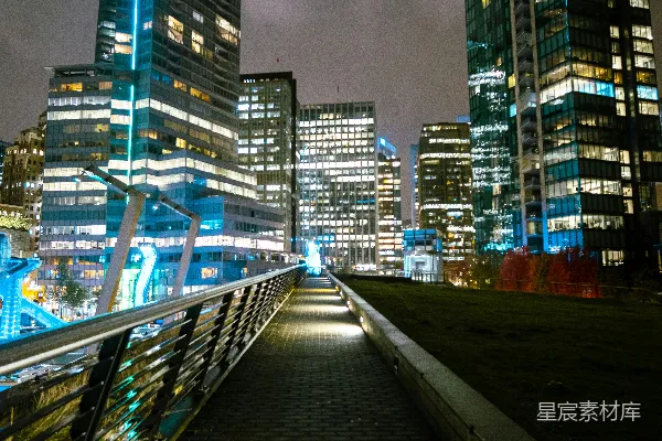 高清摄影 夜幕下的城市天际线
