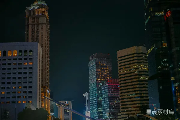 高清摄影 夜幕下的城市天际线