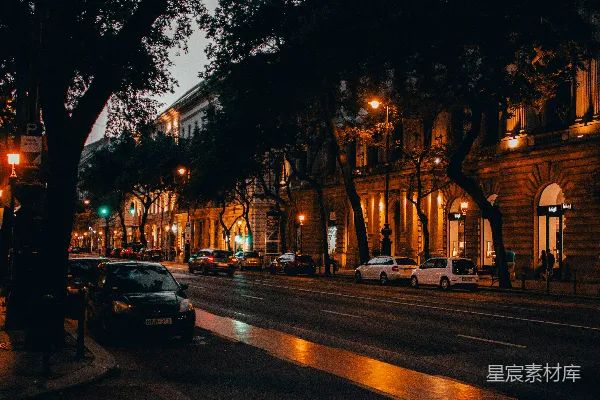 高清摄影 夜晚的城市街道