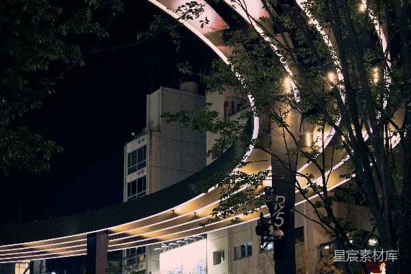 高清摄影 夜晚灯火通明的建筑与树木