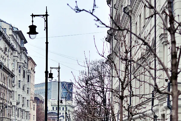 高清摄影 冬日城市街道的静谧场景