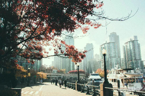 高清摄影 秋日的城市河畔