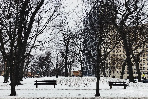 高清摄影 雪后的城市公园