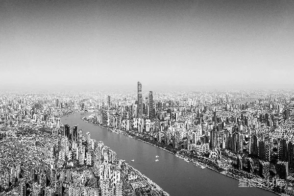 高清摄影 黑白上海俯瞰全景