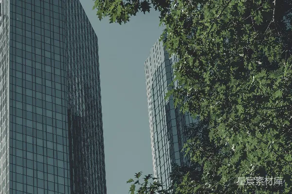高清摄影 现代都市中的自然与建筑