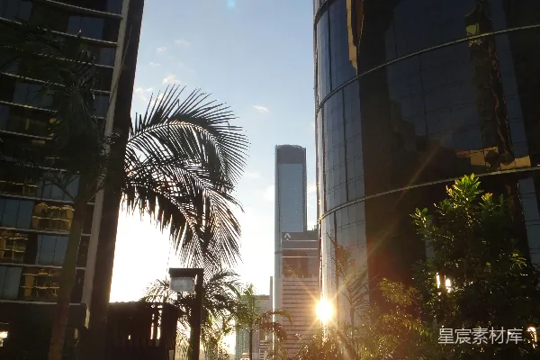 高清摄影 城市中的阳光与绿植