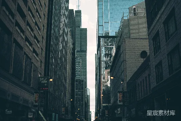 高清摄影 都市中的现代建筑群
