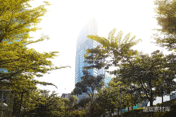 高清摄影 城市绿意与摩天大楼
