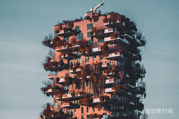 高清摄影 城市森林建筑