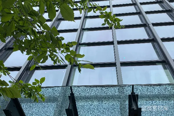 高清摄影 高楼与绿植的和谐之美