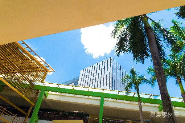 高清摄影 现代建筑与热带绿意的和谐共处
