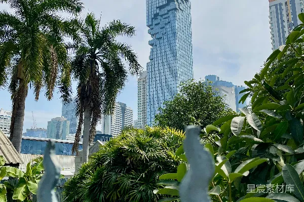 高清摄影 摩天大楼与热带植物的自然与现代交织