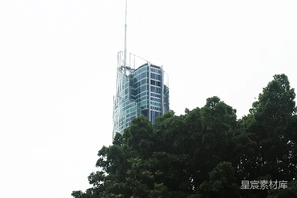 高清摄影 高楼与绿树