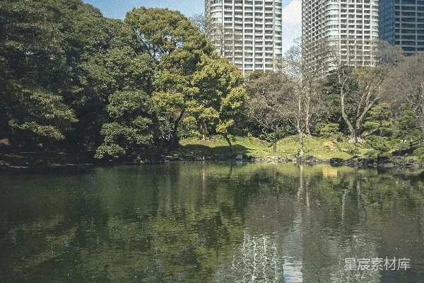 高清摄影 城市与自然的和谐共存