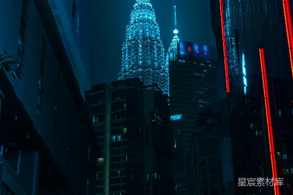 高清摄影 夜幕下的双子塔