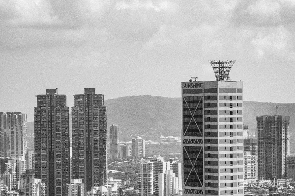 高清摄影 黑白城市天际线