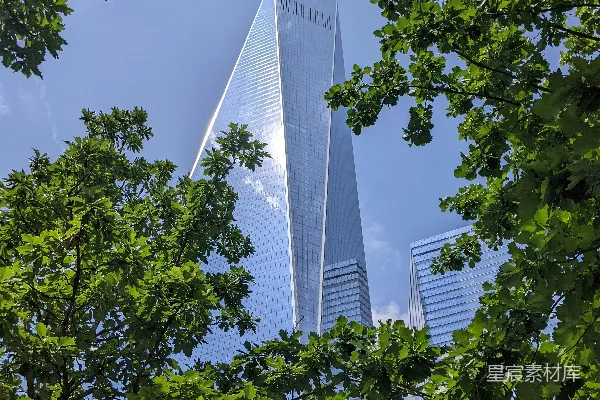 高清摄影 自由塔与绿树