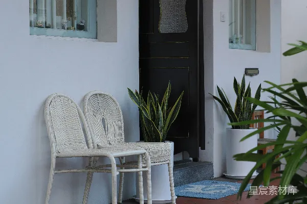 高清摄影 简约白色藤椅与绿植的宁静角落