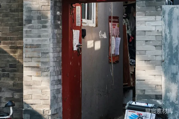 高清摄影 老北京胡同里的猫