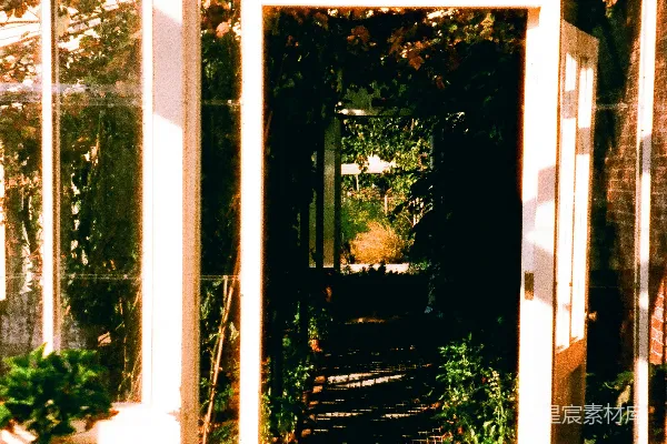 高清摄影 温室中的花园