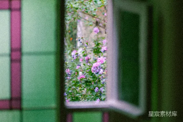 高清摄影 透过绿色窗户看花