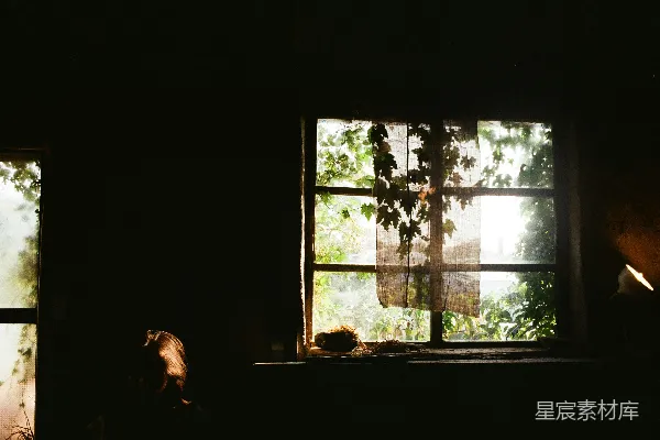 高清摄影 窗外的阳光与窗边的静谧