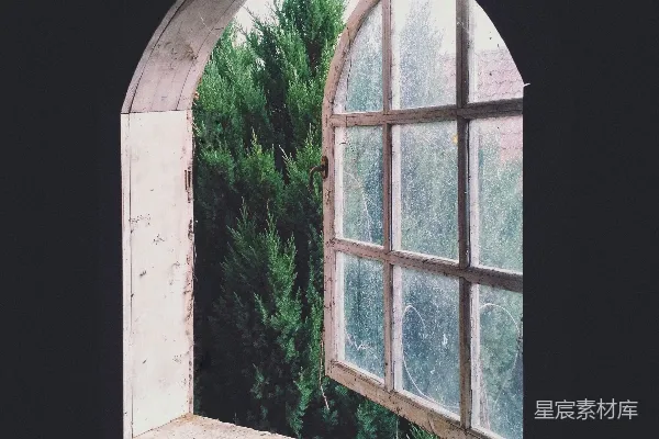 高清摄影 旧窗与窗外的绿植