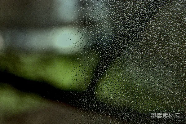 高清摄影 雨滴下的朦胧世界