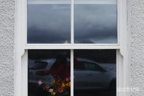 高清摄影 窗外的雨天与窗内的花