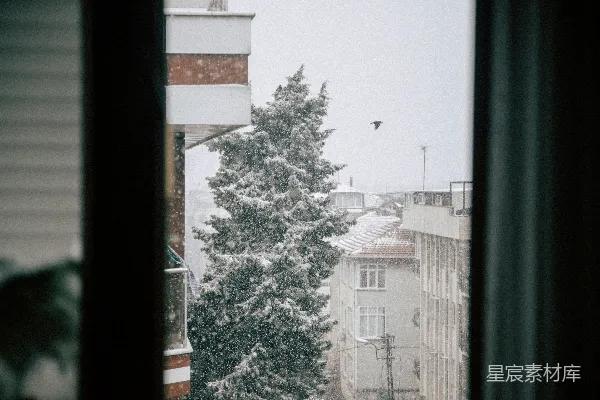 高清摄影 窗外的雪景