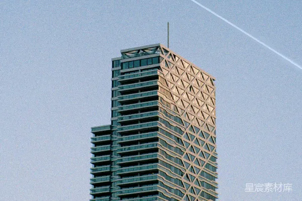 高清摄影 现代摩天楼与空中飞鸟