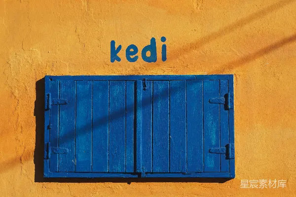 高清摄影 Kedi的黄色墙与蓝色百叶窗