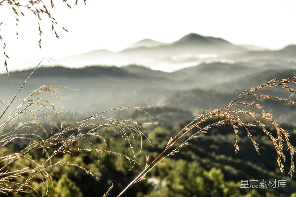 高清摄影 晨光中的山野