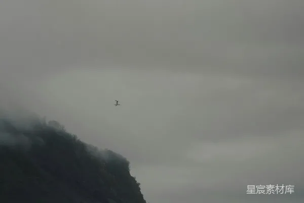 高清摄影 雾海孤鸟