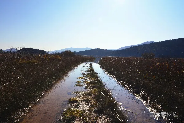 高清摄影 宁静的湿地风光