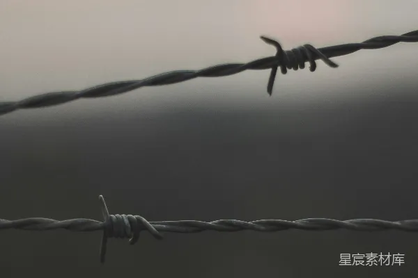高清摄影 铁丝网的轮廓