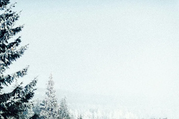 高清摄影 冬日雪景