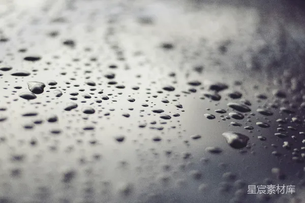 高清摄影 雨滴的静谧世界