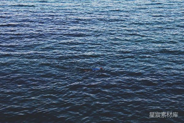 高清摄影 海上的浮潜者