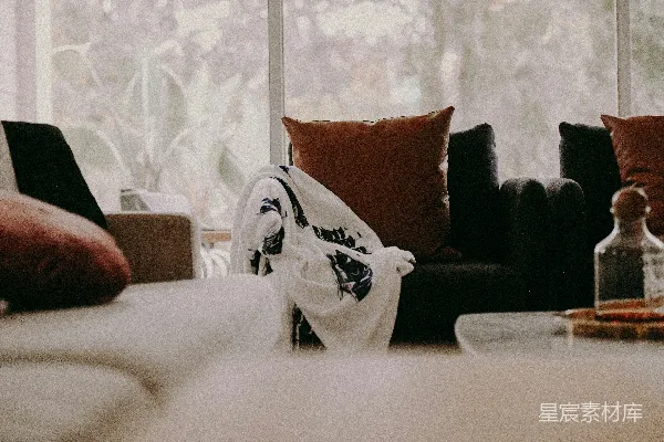 高清摄影 温馨的午后时光