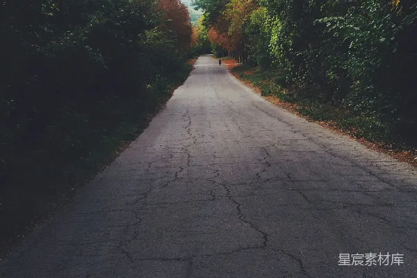 高清摄影 林荫道上的孤独身影