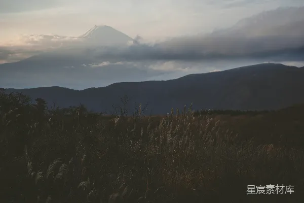 高清摄影 富士山下的晨雾与草地