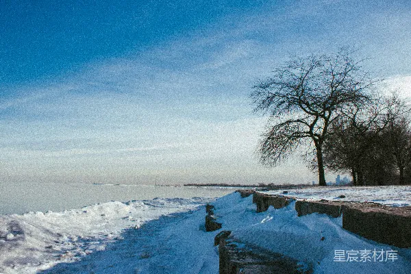 高清摄影 冬日湖畔的静谧与孤独