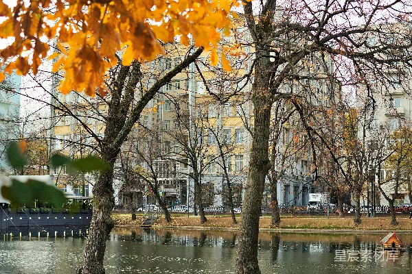 高清摄影 秋日湖畔静谧景色