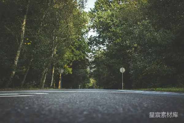 高清摄影 森林中的宁静道路