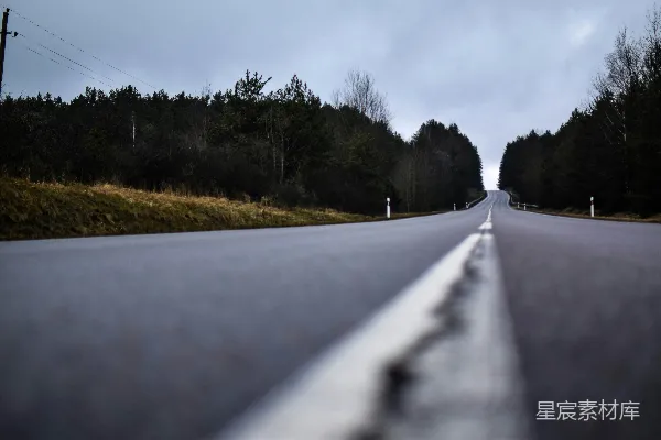 高清摄影 空旷的森林道路
